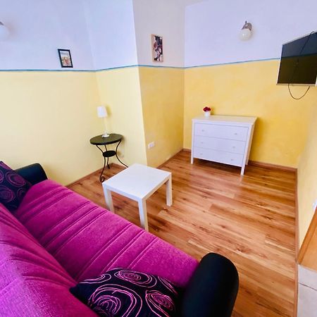 Apartments Olga ブレッド エクステリア 写真