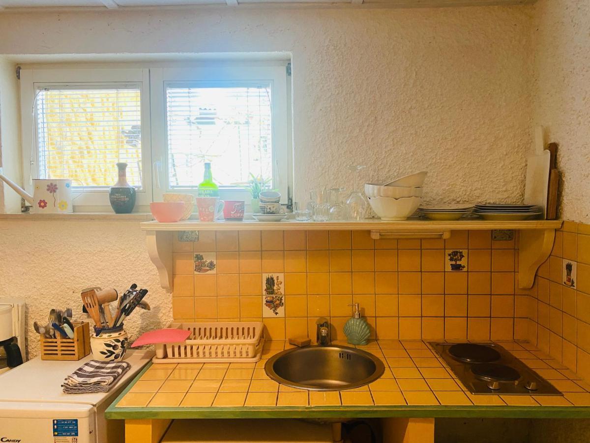 Apartments Olga ブレッド エクステリア 写真